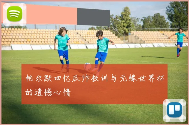 帕尔默回忆瓜帅教训与无缘世界杯的遗憾心情